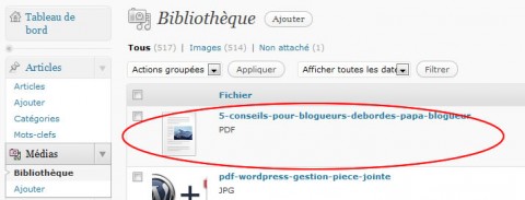 gestion pdf wordpress