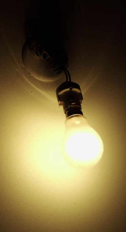 une ampoule sur un mur qui picore du pain dur lol