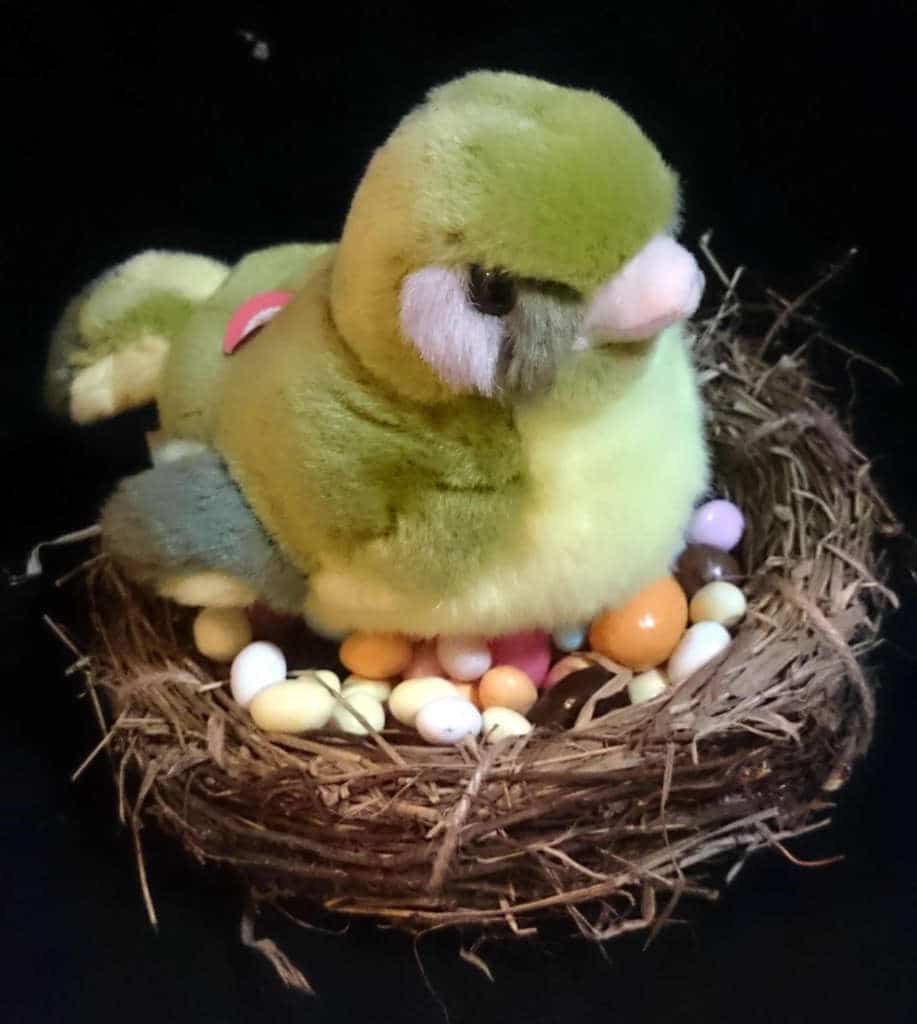 nid-oiseau-oeuf-paques-dlyscolours