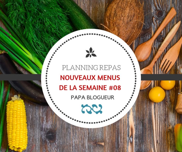 Idées de menus de la semaine familiaux faciles et rapides #08