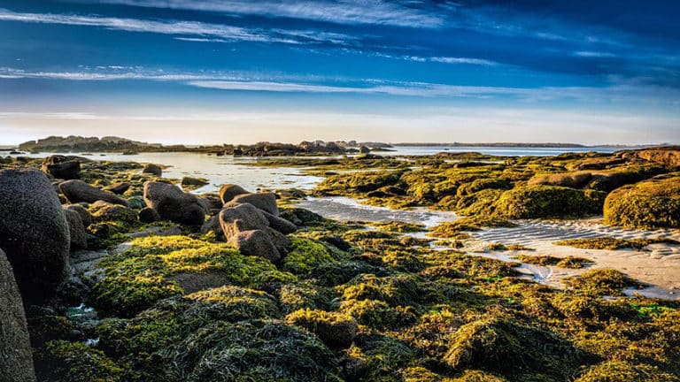 La Bretagne, Tourisme et Vacances