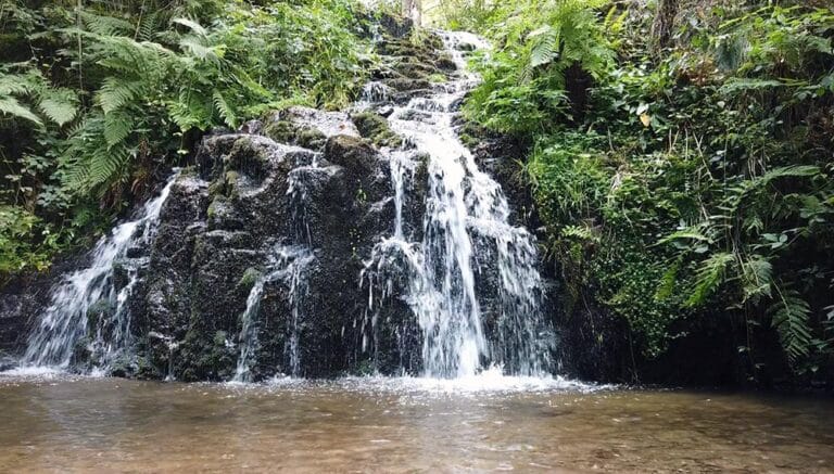 Tourisme Vosges : 3 cascades incroyables à découvrir
