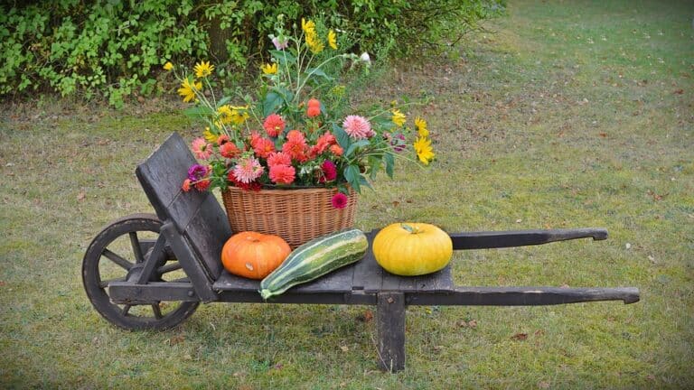 decoration fleurs citrouille automne