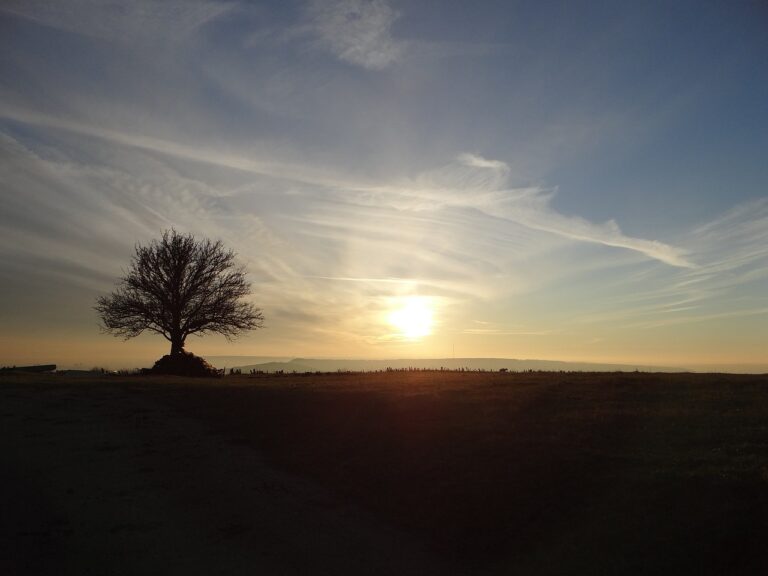 toursime hiver en lorraine que faire ?