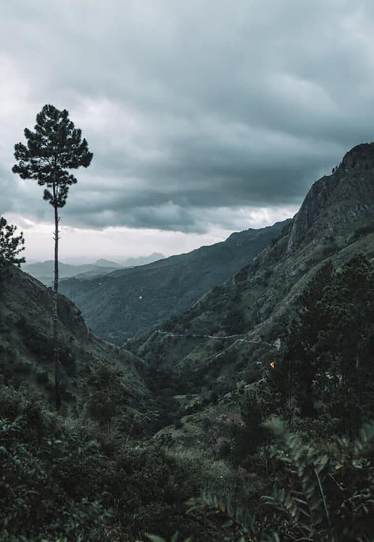 Road Trip au Sri Lanka