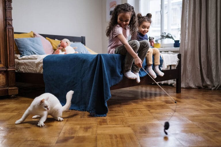 Les avantages et les inconvénients des animaux domestiques à la maison