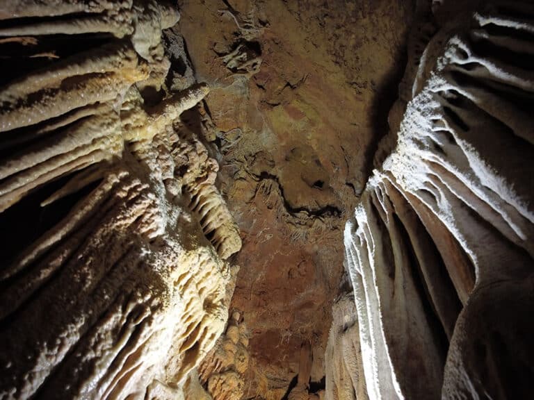 La Grotte du Bosc – Tarn et Garonne