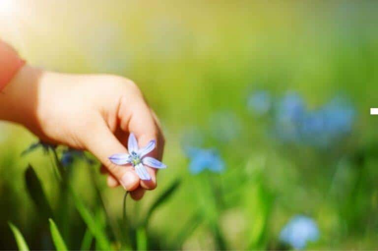 Préparer l&rsquo;arrivée des beaux jours avec des activités pour les enfants