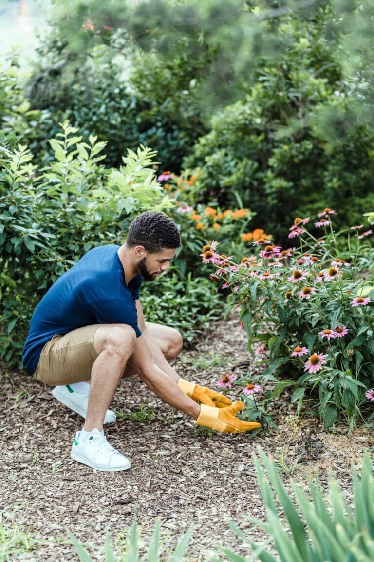 Sublimer son jardin pour l’arrivée des beaux jours