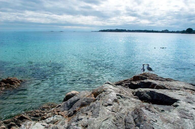 Voyage au cœur du Sud-Ouest de la France : découverte, culture et gastronomie