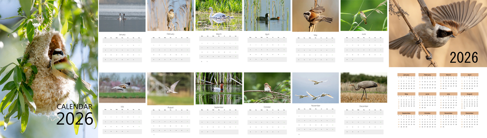 Calendrier photo personnalisé : organiser sa famille et préserver ses souvenirs